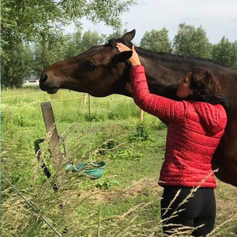 Ilse bij een paard
